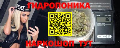 прущие грибы Рузаевка