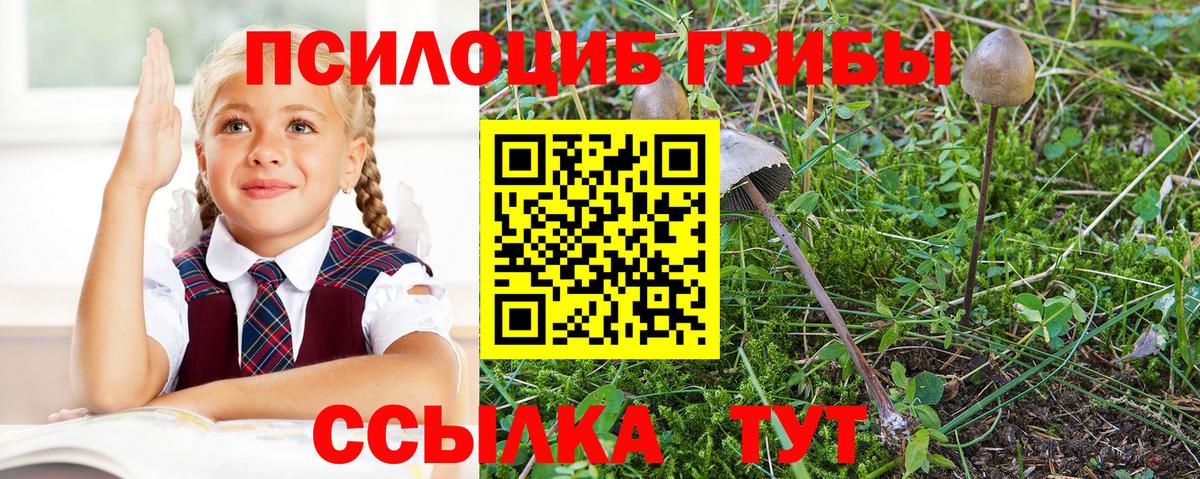 Моздок  Галлюциногенные грибы Magic Shrooms  Вход с VPN 